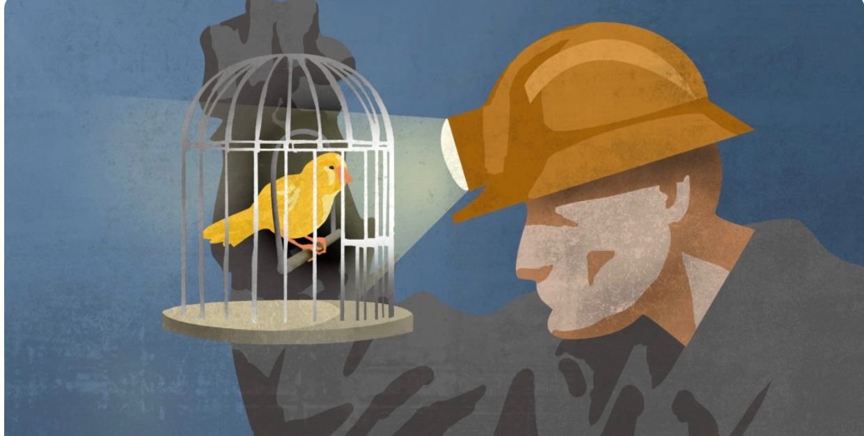 礦坑裡的金絲雀